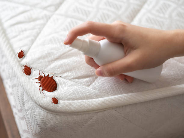 Best Organic or Eco-Friendly Pest Control  in Ingalls Park, IL